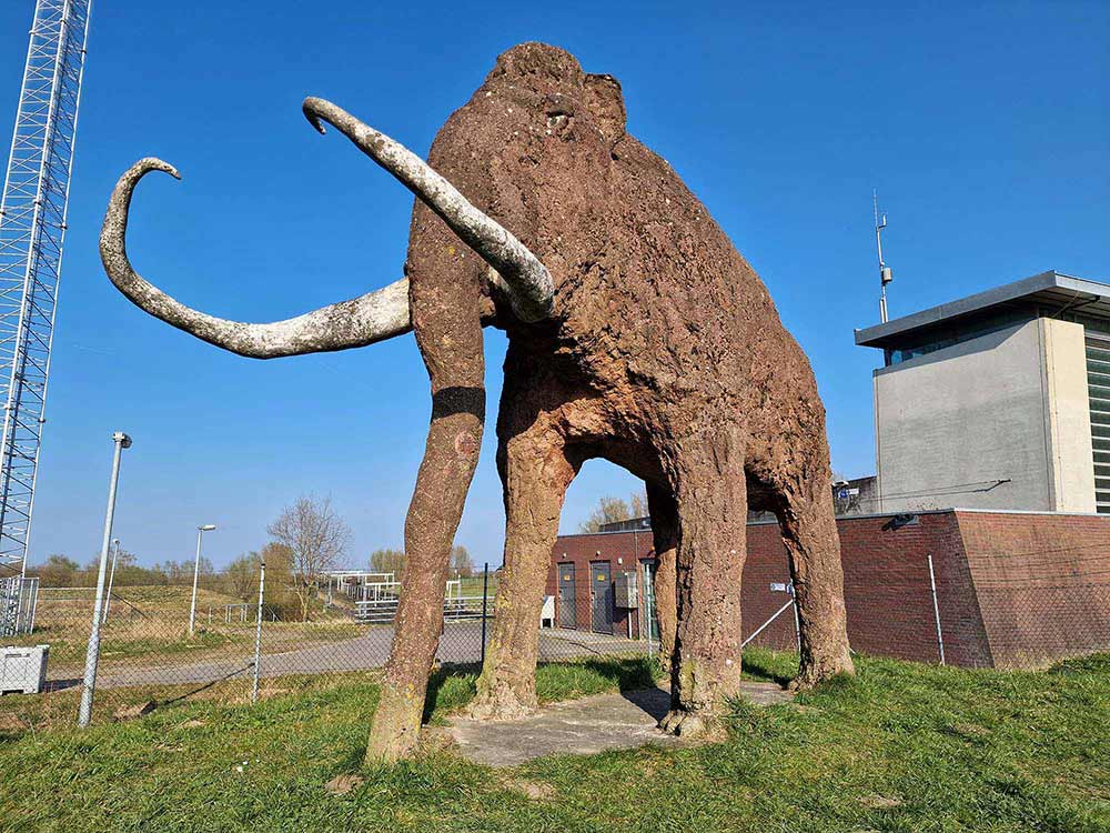 De Mammoet